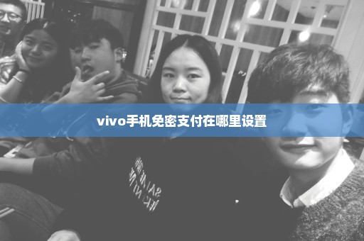 vivo手机免密支付在哪里设置