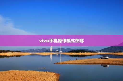 vivo手机操作模式在哪