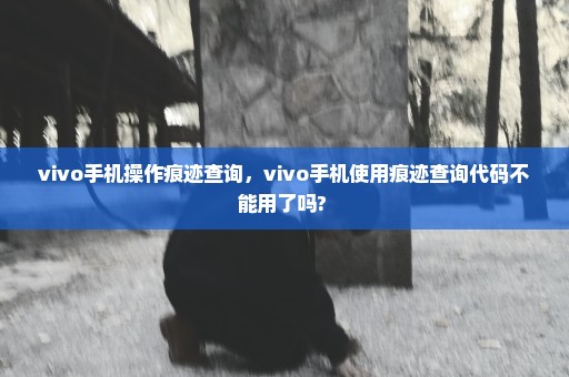 vivo手机操作痕迹查询，vivo手机使用痕迹查询代码不能用了吗? 