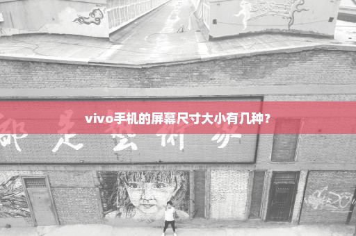vivo手机的屏幕尺寸大小有几种？
