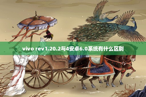 vivo rev1.20.2与4安卓6.0系统有什么区别