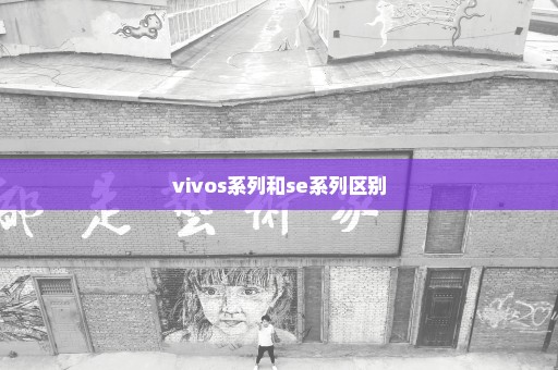 vivos系列和se系列区别