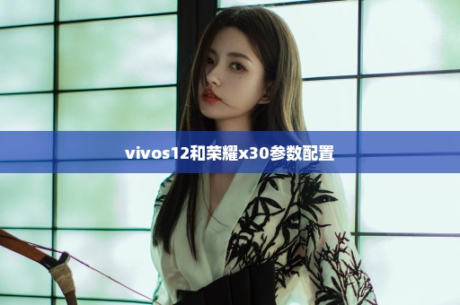 vivos12和荣耀x30参数配置