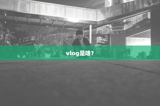 vlog是啥？