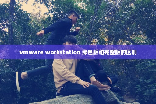 vmware workstation 绿色版和完整版的区别