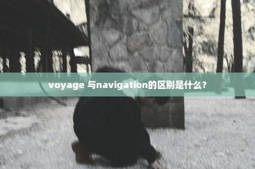 voyage 与navigation的区别是什么？