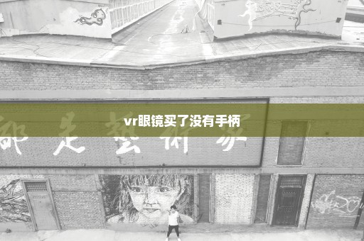 vr眼镜买了没有手柄