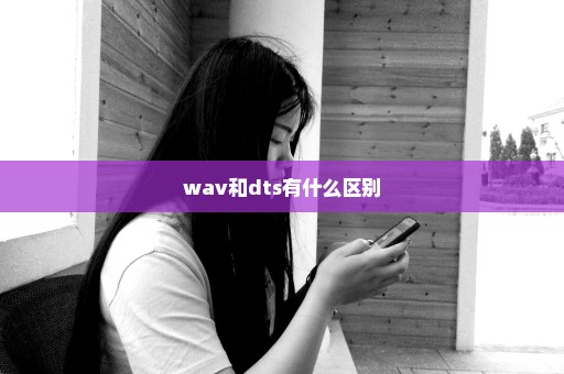 wav和dts有什么区别