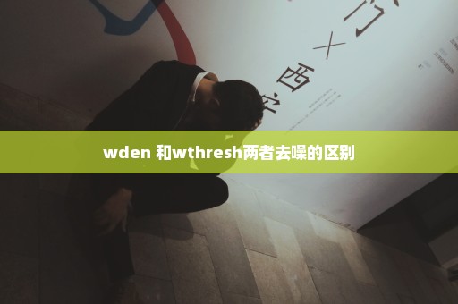 wden 和wthresh两者去噪的区别