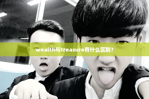 wealth与treasure有什么区别？