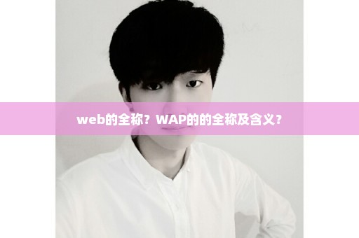 web的全称？WAP的的全称及含义？