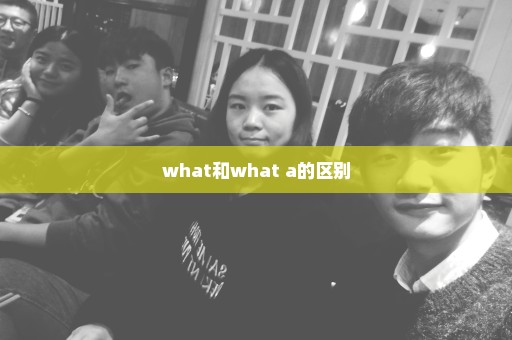 what和what a的区别