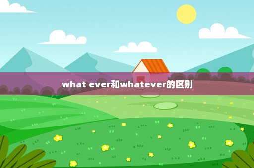 what ever和whatever的区别