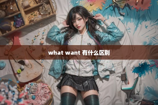 what want 有什么区别