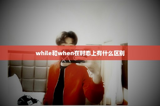 while和when在时态上有什么区别
