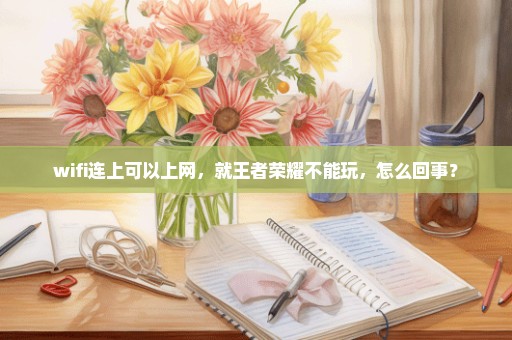 wifi连上可以上网，就王者荣耀不能玩，怎么回事？