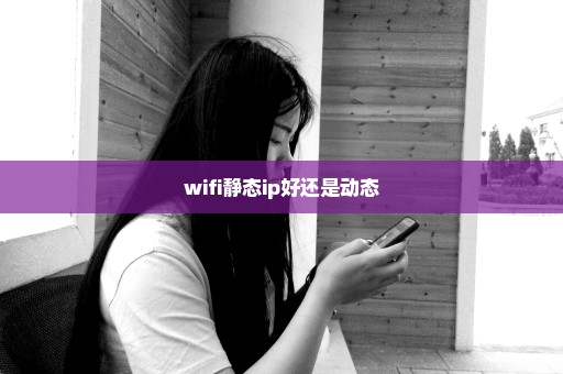wifi静态ip好还是动态