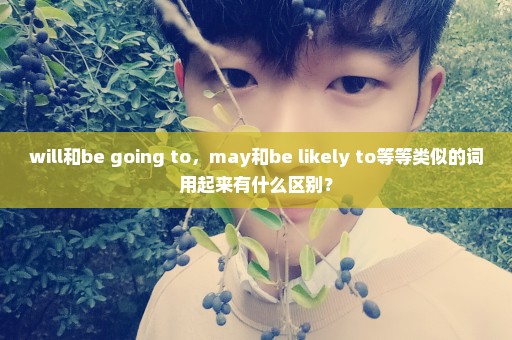 will和be going to，may和be likely to等等类似的词用起来有什么区别？
