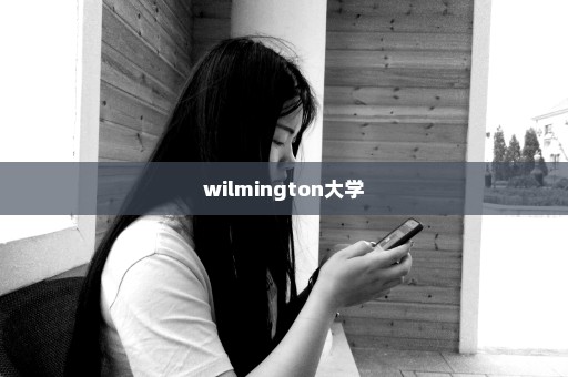 wilmington大学