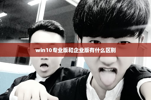 win10专业版和企业版有什么区别