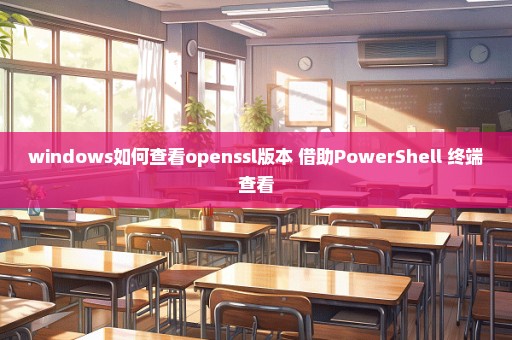 windows如何查看openssl版本 借助PowerShell 终端查看