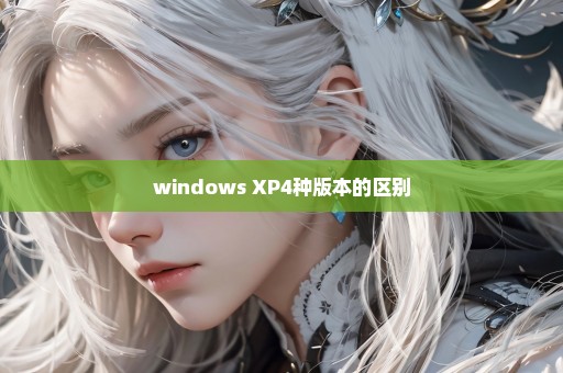 windows XP4种版本的区别
