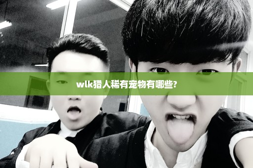 wlk猎人稀有宠物有哪些?