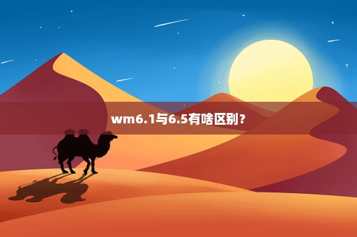 wm6.1与6.5有啥区别？