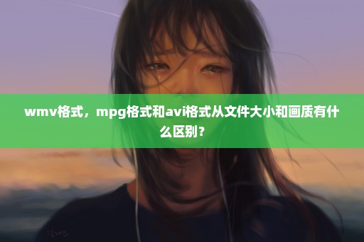 wmv格式，mpg格式和avi格式从文件大小和画质有什么区别？