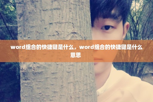 word组合的快捷键是什么，word组合的快捷键是什么意思 