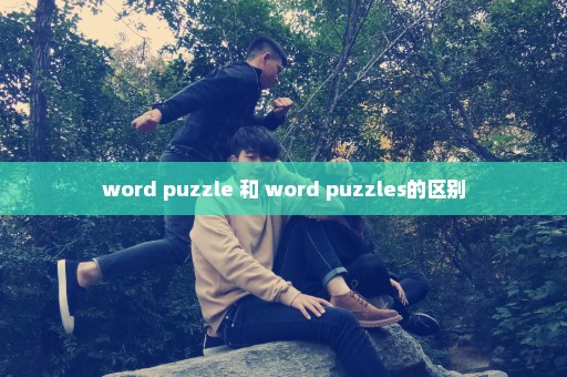 word puzzle 和 word puzzles的区别