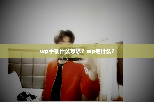 wp手机什么意思？wp是什么？