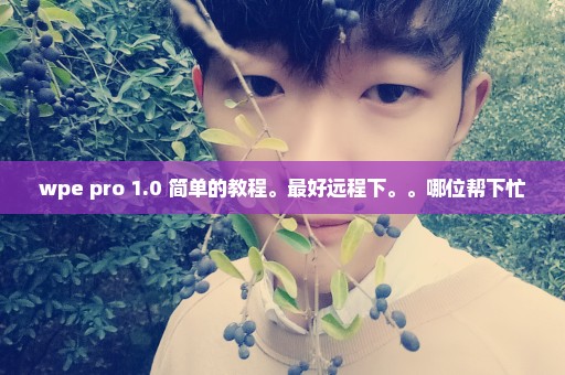 wpe pro 1.0 简单的教程。最好远程下。。哪位帮下忙