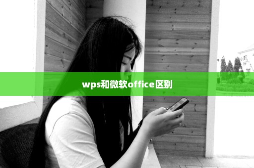 wps和微软office区别