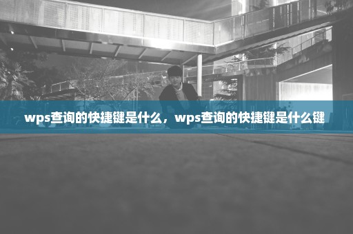 wps查询的快捷键是什么，wps查询的快捷键是什么键 