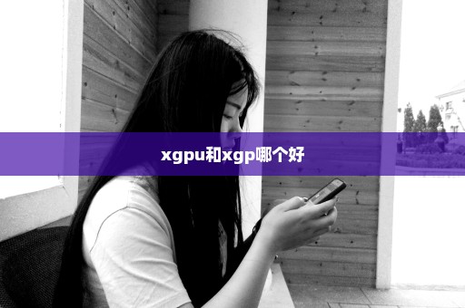 xgpu和xgp哪个好