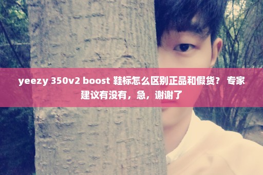 yeezy 350v2 boost 鞋标怎么区别正品和假货？ 专家建议有没有，急，谢谢了
