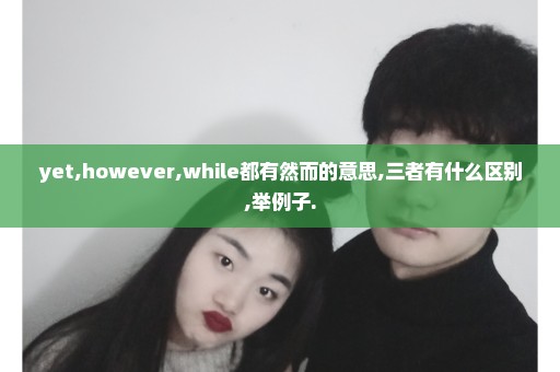 yet,however,while都有然而的意思,三者有什么区别,举例子.
