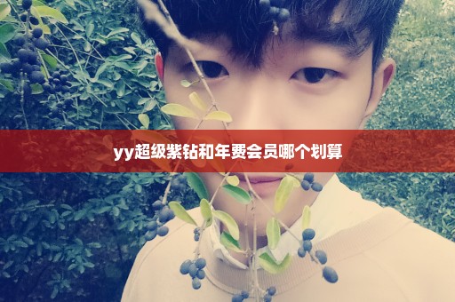 yy超级紫钻和年费会员哪个划算