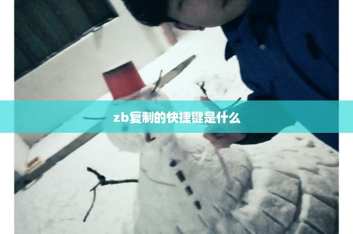 zb复制的快捷键是什么