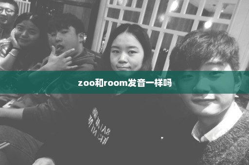 zoo和room发音一样吗