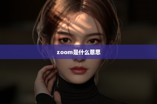 zoom是什么意思