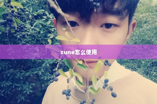 zune怎么使用